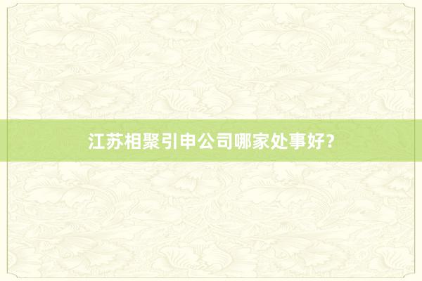 江苏相聚引申公司哪家处事好？