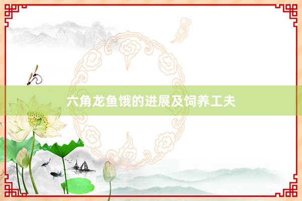 六角龙鱼饿的进展及饲养工夫